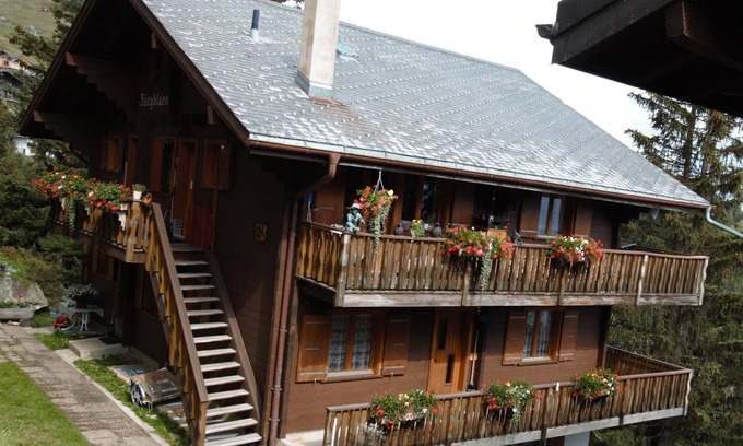 Bettmeralp Apartment | Bärgblüemli 1. OG West by Interhome
