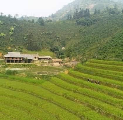 Bac Ha House | Bản Liền Pine Homestay
