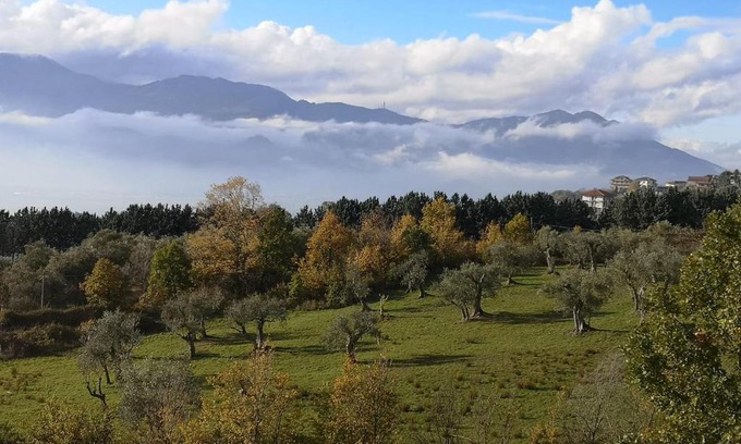 Atena Lucana Bed & Breakfast | b&b Adamà