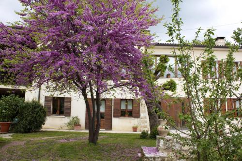 Paderno del Grappa Bed & Breakfast | B&B Altè
