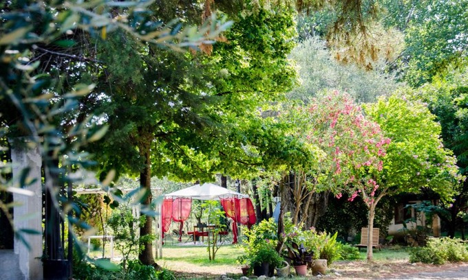 Policoro House | B&B Apricot