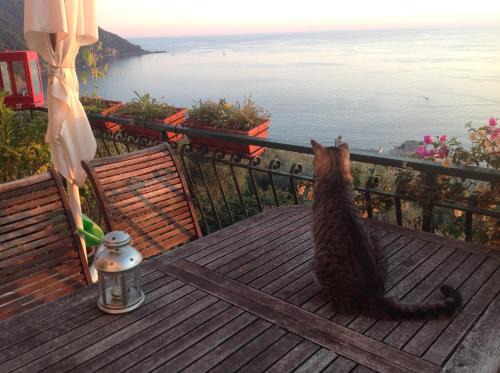 Camogli Bed & Breakfast | B&B Case Rosse