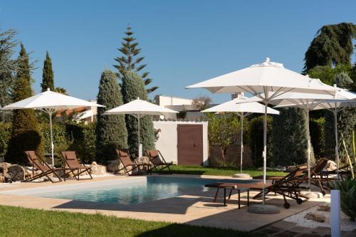 Bisceglie Bed & Breakfast | B&B Radici d'Olivo