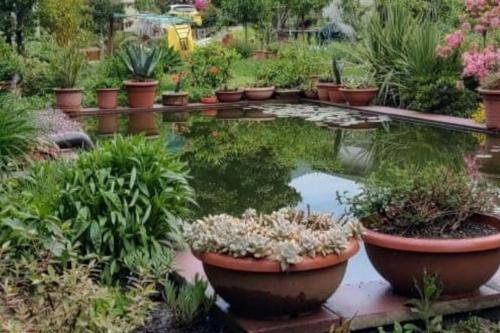 Rancio Valcuvia Apartment | B&B Vegan La Mucca felice - Grazioso appartamento nel verde
