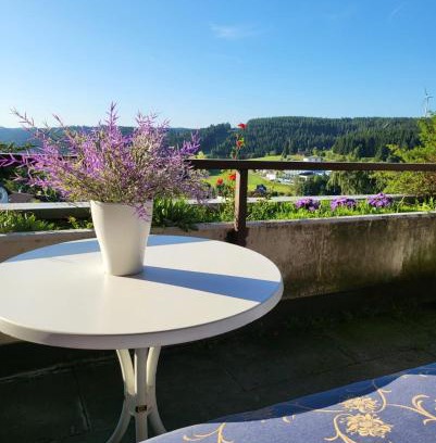 Schonach im Schwarzwald Apartment | Balcony-Apartment besides forest