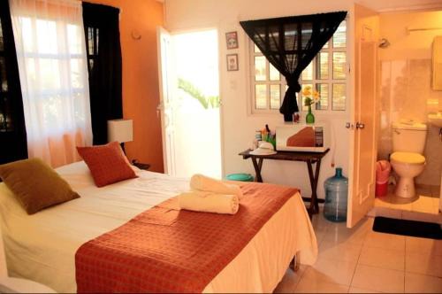Centro - Supmza 001 Apartment | Balcony Studio In Downtown Isla Mujeres