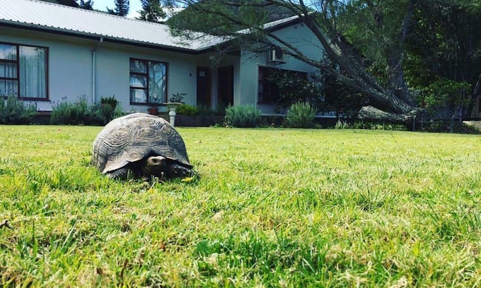 Patensie Bed & Breakfast | Baviaanskloof Lodge - Your Gateway to the Baviaanskloof