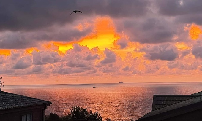 Brixham Cabin | Bay View Luxury Lodge ( pet friendly )