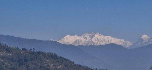 Darjeeling House | BBASAN FARMs