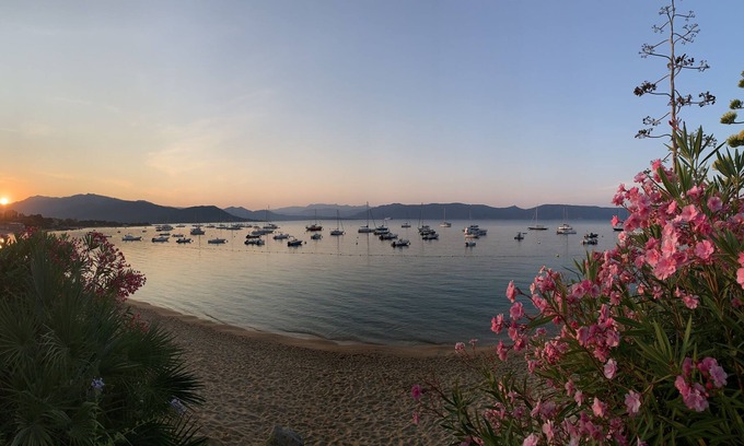 Porto Pollo House | Beachfront house in Porto Pollo with private access to the beach