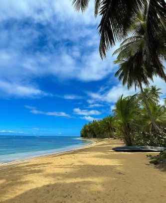 Las Terrenas Apartment | Beachside Apartment with Ocean View, Garden and 2 Swimming Pools