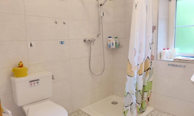 Brienzwiler Apartment | Beautiful apartment for 5 people with WIFI, TV, terrace, pets allowed and panoramic view