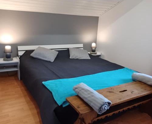 Morillon Ski Chalet | Beautiful apartment duplex in a chalet with garden for 6 in Morillon