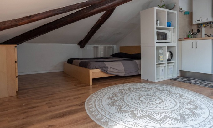 Cit Turin Apartment | Beautiful attic 200m from Porta Susa