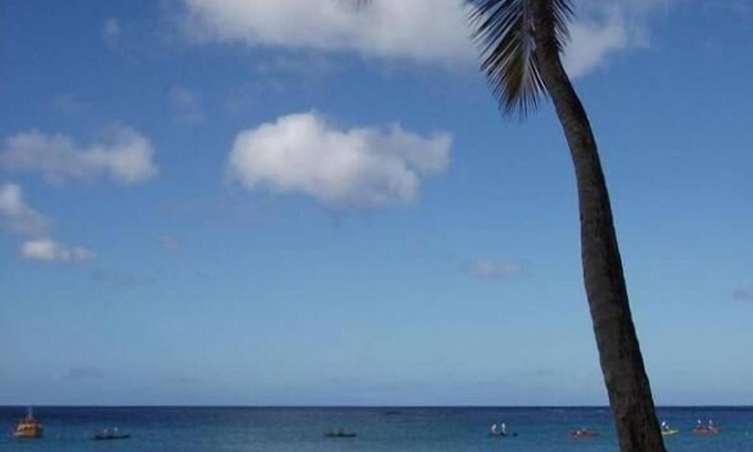 Spring Garden Apartment | Beautiful Barbados Property On the Beach. No Driving, No Packing Up.