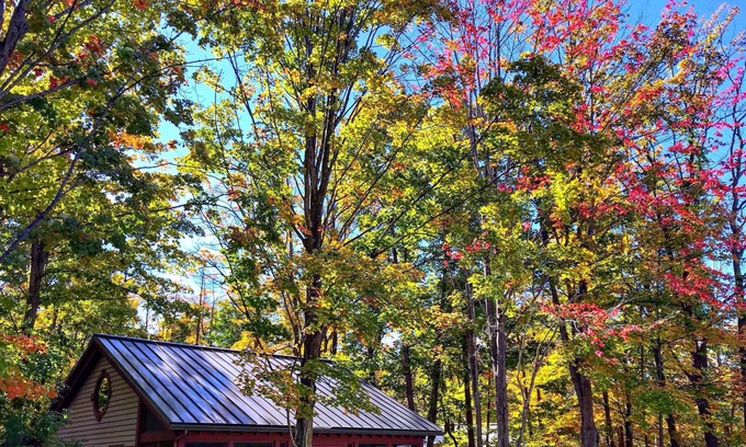 Fennville Cottage | Beautiful cottage #6 at DollyBrook just minutes from Saugatuck