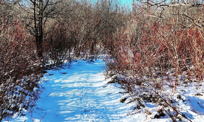 Meaford House | Beautiful retreat on 16 acres of tranquil views and trails, close to everything!