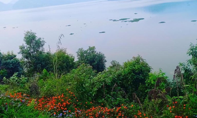Lekhnath House | Begnas Lake Front Guest House