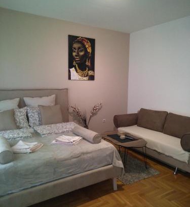 Vozdovac Apartment | Belimedik