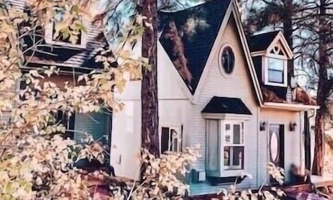 Flagstaff Cottage | BellaVue Estate Cottage Chalet #2 - Cozy Cute & Clean, Central location