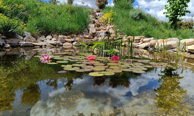 Rians Villa | Belle Villa Avec Piscine et spa
