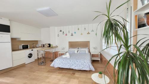 Santiago de Compostela Apartment | Besbello Suites - Estudio