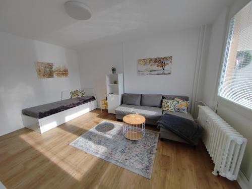 Hradec Kralove Apartment | BestNest HK