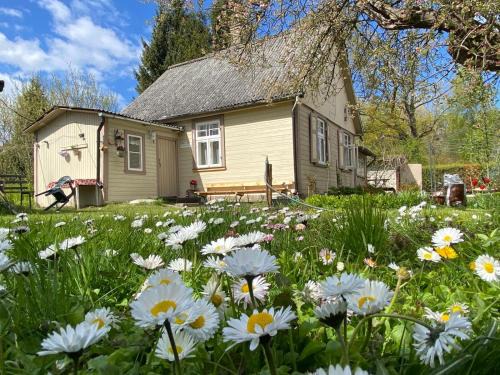 Jurmala House | Bezvējš
