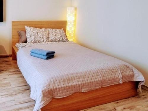 Srodmiescie Apartment | Biała Kamienica 55- Manufaktura, Piotrkowska, Atlas-Arena, parking