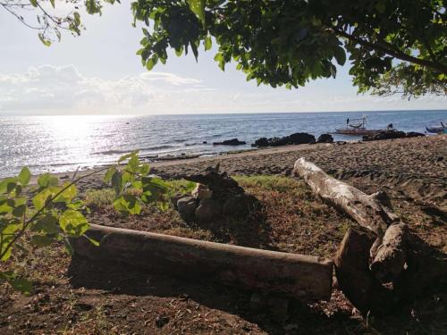 Dauin House | Big Fun Beach House