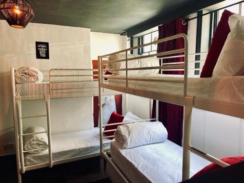 Brighton City Centre House | Big Group Stays