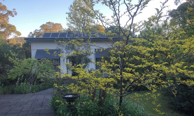 Woori Yallock Cottage | Bird Hill - A Garden Retreat in the Yarra Valley - Get Up Close to Native Birds