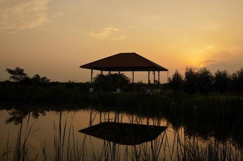 Velavadar Hotel | Blackbuck Safari Lodge Velavadar
