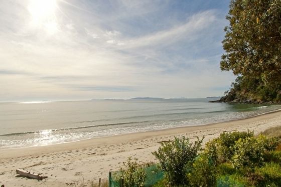 Whangapoua House | Bliss on the Beach - Whangapoua