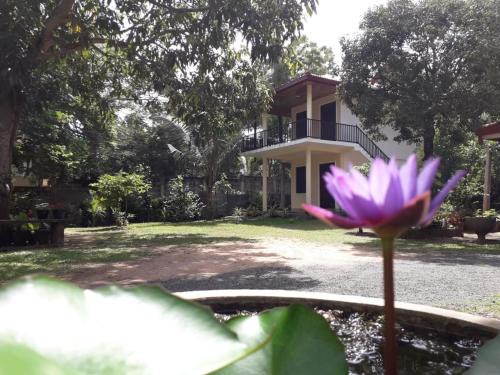 Tangalle House | Blue Point Rest