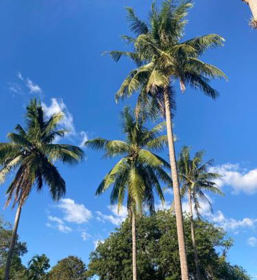 Ko Chang Bed & Breakfast | Blue Resort