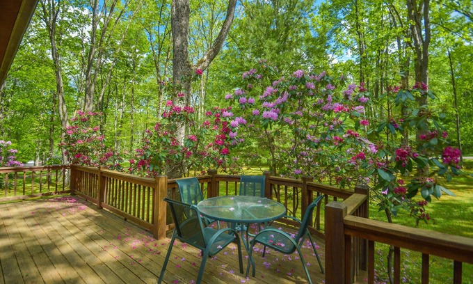 Blakeslee House | Blue Waters | Community Indoor Pool + Dock Slip!