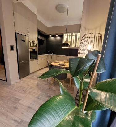 Boleslawiec Apartment | BoleslaviaApartments - Apartament Simon 3, Center, air conditioning