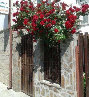 Panagyurishte House | Bonbon Guest House
