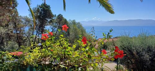 Porto Pollo House | Bord de mer
