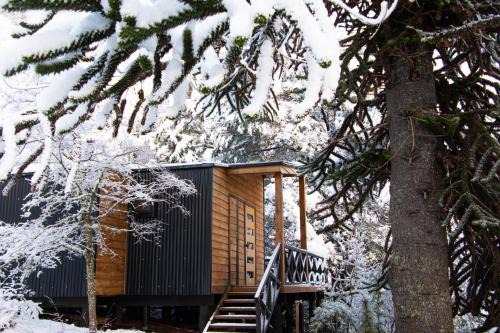 Malalcahuello Ski Chalet | BordeArroyo Malalcahuello