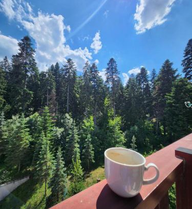 Borovets Apartment | Borovets Violet by Ski slopes