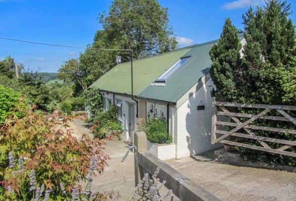 Dundon House | Bramble