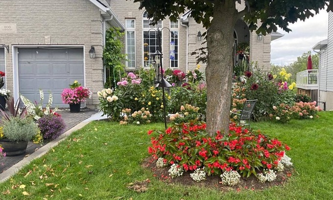 Amherstview House | Bright, spacious and walkout basement unit.n LCRL20230000513