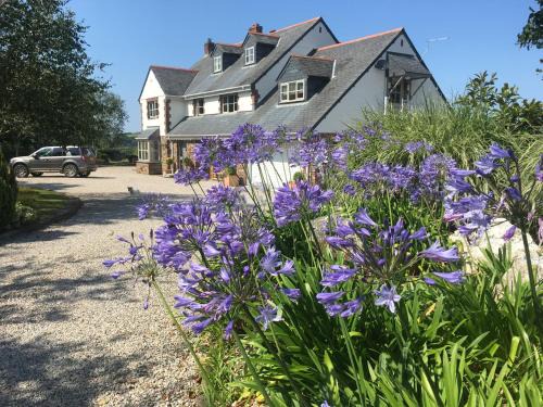 Saint Kew Bed & Breakfast | Brookfields
