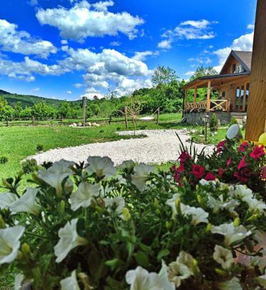 Central Serbia Cabin | Brvnare Ljubojević