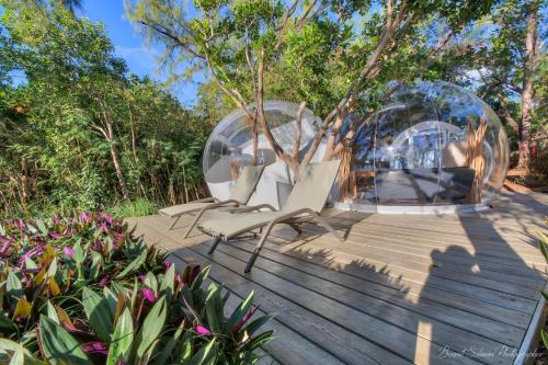 Trou d'Eau Douce Cabin | Bubble Lodge Ile aux Cerfs Island