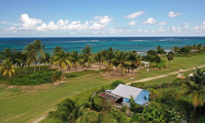Morel House | Bungalove rare place even in the West Indies Little piece of heaven that fell to earth