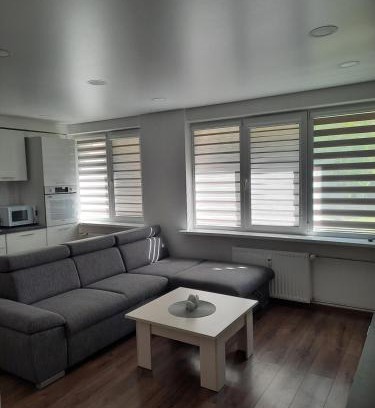 Anyksciai Apartment | Butukas