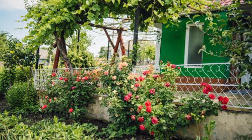Moldova House | Căsuţa de lângă Lac